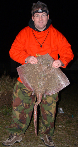 Thornback ray