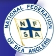 nFSA