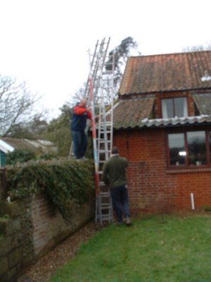 roofers