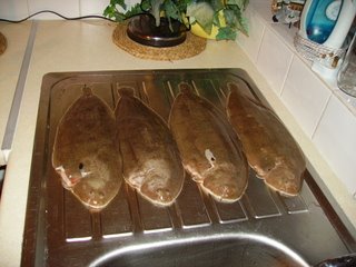 sole