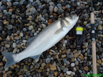 Crocs plug caught bass