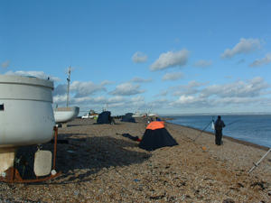 dungeness boats
