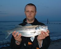Trimingham bass