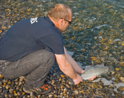 catch and release