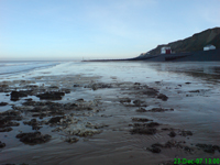 Sheringham01